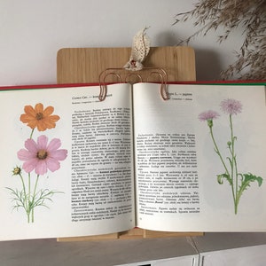 Vintage Illustrated Botanical Book | Vintage Plant Illustrations | Botanical Illustrations