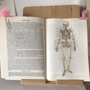 Libro di anatomia illustrato vintage / Illustrazioni di anatomia vintage / Illustrazioni di anatomia / Libro di anatomia