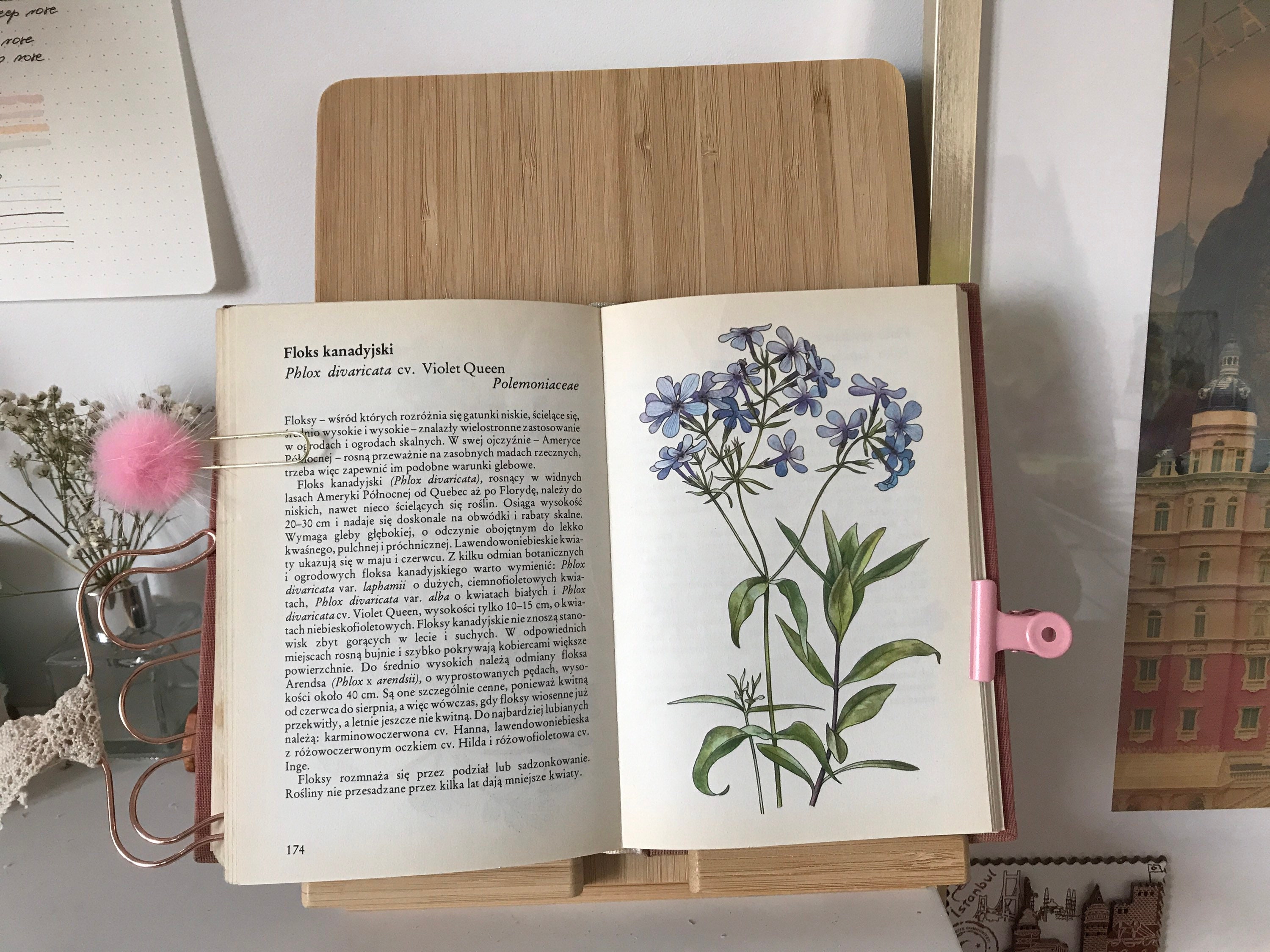 Illustrated Book on Plants