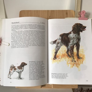 Illustrated dog book