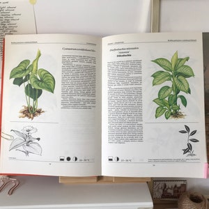 Vintage Illustrated Botanical Book | Vintage Botanical Illustrations | Botanical Illustrations | Botanical book