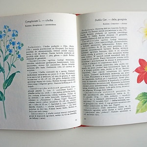 Vintage Illustrated Botanical Book | Vintage Plant Illustrations | Botanical Illustrations
