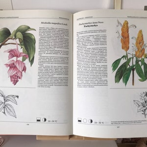 Vintage Illustrated Botanical Book | Vintage Botanical Illustrations | Botanical Illustrations | Botanical book