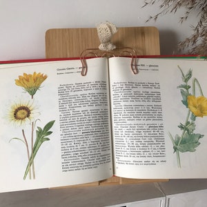 Vintage Illustrated Botanical Book | Vintage Plant Illustrations | Botanical Illustrations