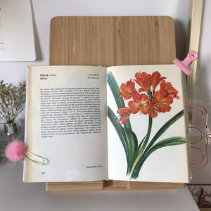 Vintage Illustrated Botanical Book | Vintage Botanical Illustrations | Botanical Illustrations | Botanical book
