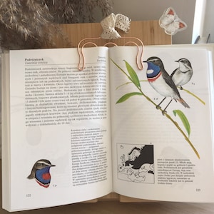 Vintage Illustrated birds Book | Vintage birds Illustrations | Birds Illustrations | Zoology book