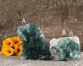 Fluorite Cluster from Madagascar with cut base, Gemstone for Clear Mental Focus, mineral healing, M244