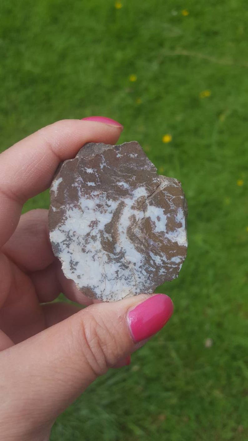 Brown and white agate specimen from Australia polished agate | Etsy