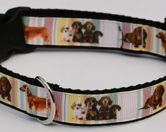 Collar para perro salchicha hecho a mano: estampado de rayas pastel, ajustable