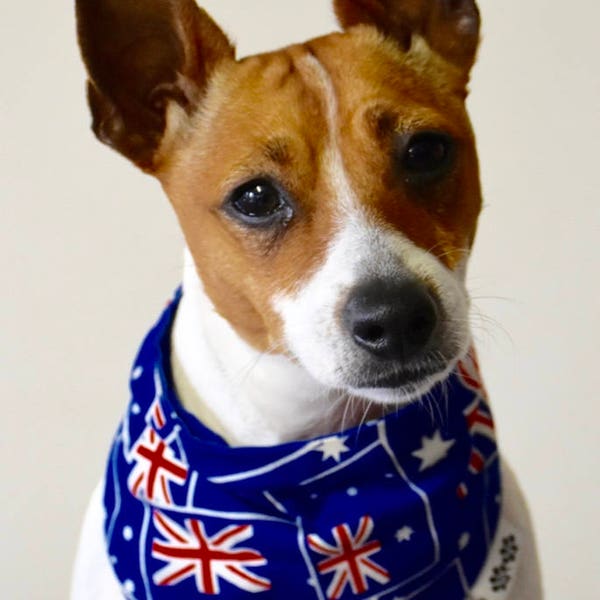 Dog Bandana Etsy Australia
