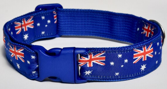dog collar aus
