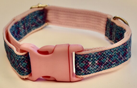 snakeskin dog collar