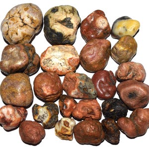 May include: A collection of twenty-two smooth, rounded river stones in various earthy tones including shades of tan, rust red, dark brown, cream, and grey. The stones exhibit natural textures, mineral veins, and irregular shapes of varying sizes.