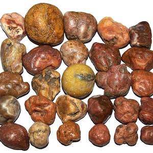 May include: A collection of twenty-four smooth, rounded river stones in various shades of brown, tan, orange, and red. The stones exhibit natural textures, irregular shapes, and varied surface patterns, ranging from solid earth tones to mottled hues.