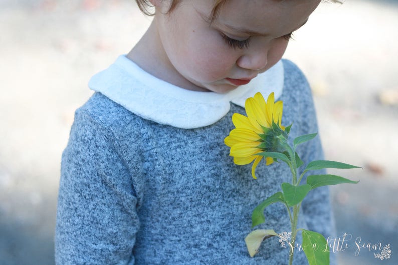 May include: A young child wearing a grey sweater with a white peter pan collar is smelling a yellow sunflower.