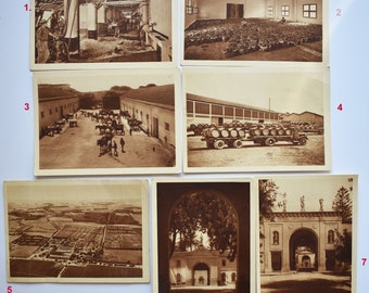 7 Vintage Post Cards from Algiers, Algeria 1940's, PC CPA Domaine de la Trappe de Staoueli