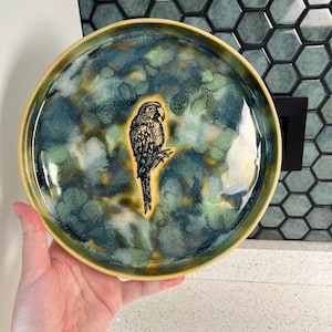 May include: A round ceramic plate with a hand-painted design. The plate features a detailed illustration of a parrot perched on a branch. The plate's surface has a mottled pattern in shades of blue, green, and yellow, with a yellow rim.