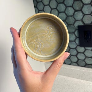 Peut inclure: Un bol en céramique rond et peu profond avec une glaçure jaune terreuse mate. La base intérieure présente un dessin au trait en relief détaillé d'un squelette de dinosaure, un pachycéphalosaure, centré dans le bassin circulaire.