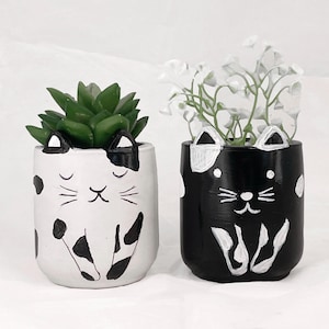 Op de afbeelding: Twee keramische katten potten, een witte met zwarte vlekken en een vetplant, de andere zwart met witte vlekken en een witte bloeiende plant.