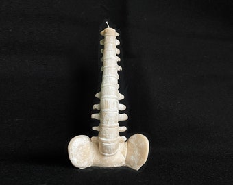 Candela "Spine" XLarge Candela Gotica Vegana Scrivania Decorazione per la casa Statua Scultura