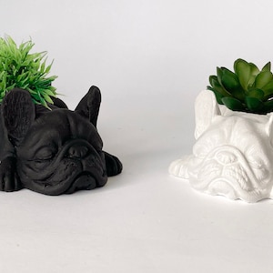 Concrete planter dog bulldog succulent pot french home decor statue sculpture french eco friendly succulent modern airplant air plant