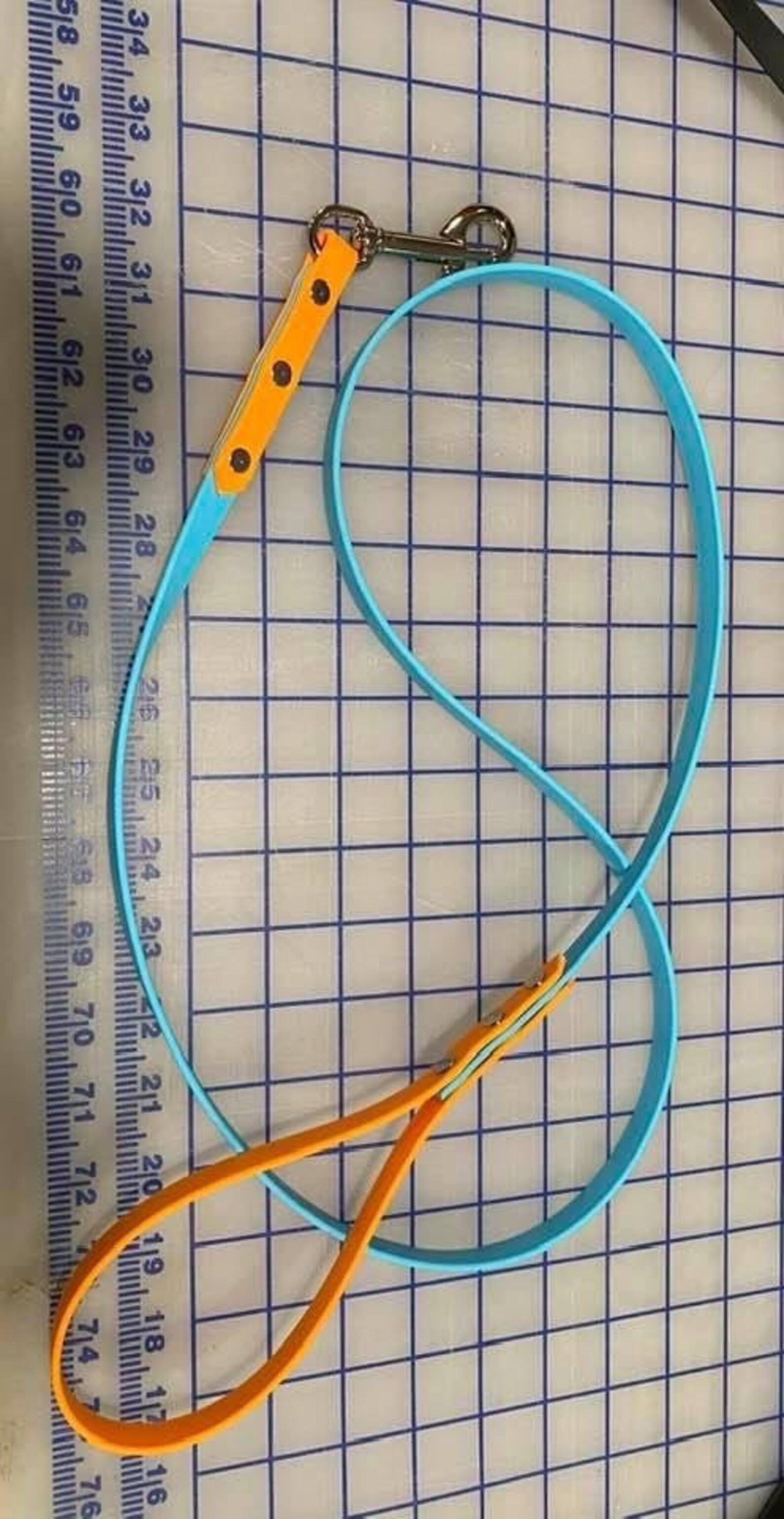 BioThane 2 Color Leash Leash 1/2 in Width 4 Foot Etsy