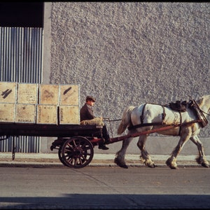 Bloomsday's Dublin Horse Cart by Marvin Koner, circa 1969