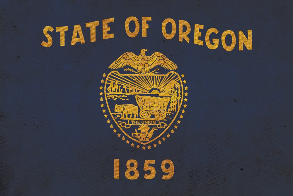 Vintage Oregon Flagge auf Leinwand, Oregon Flagge, Wandkunst, Oregon Foto, Oregon Flagge - Bild 5 von 6