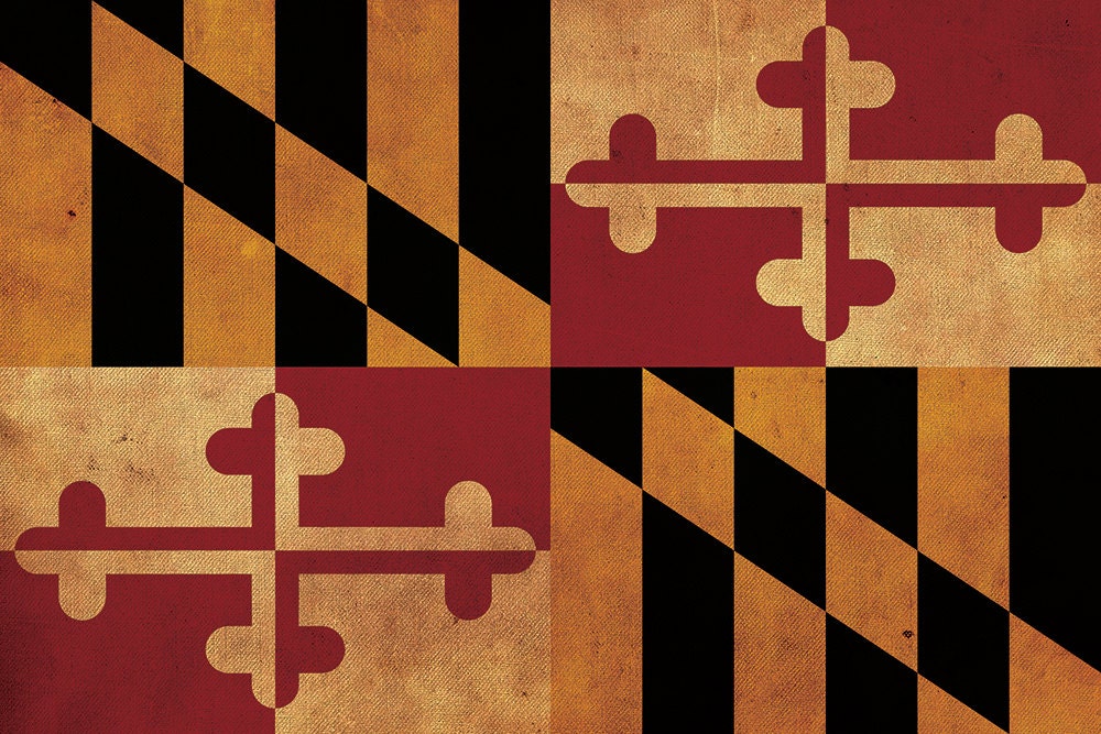 Vintage Maryland Flagge auf Leinwand, Flagge, Wandkunst, Maryland Foto, Maryland Druck - Bild 5 von 6