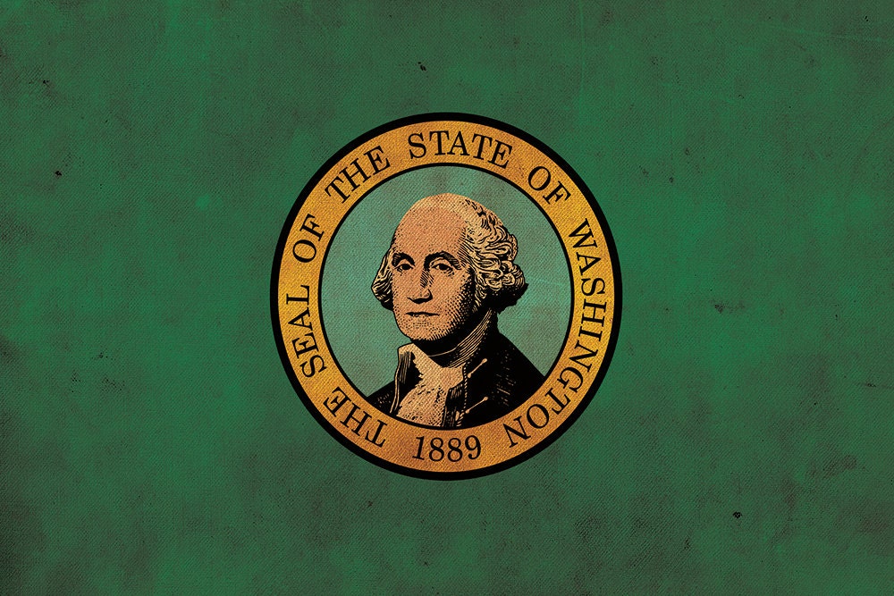 Vintage Washington Flagge auf Leinwand, Washington Wandbild, Washington Foto, Washi - Bild 5 von 6