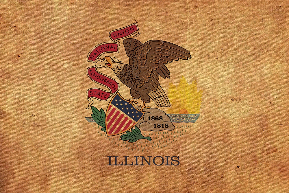 Vintage Illinois flag on canvas, Illinois, Flag, Wall Art, Illinois Photo, Illi - Picture 5 of 6
