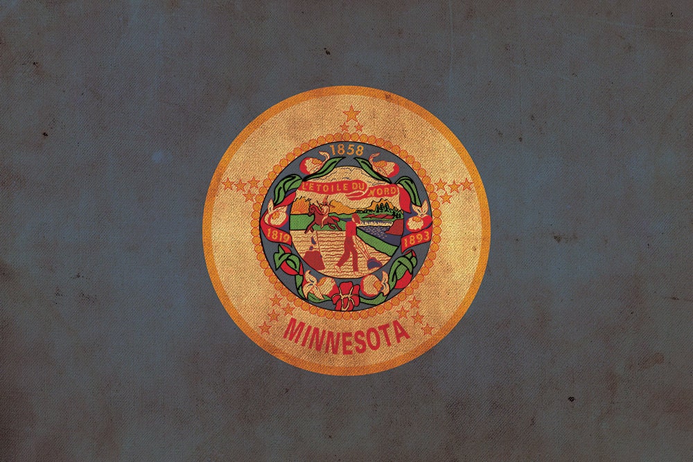 Vintage Minnesota Flagge auf Leinwand, Flagge, Wandbild, Minnesota Foto, Minnesota Pr - Bild 5 von 6