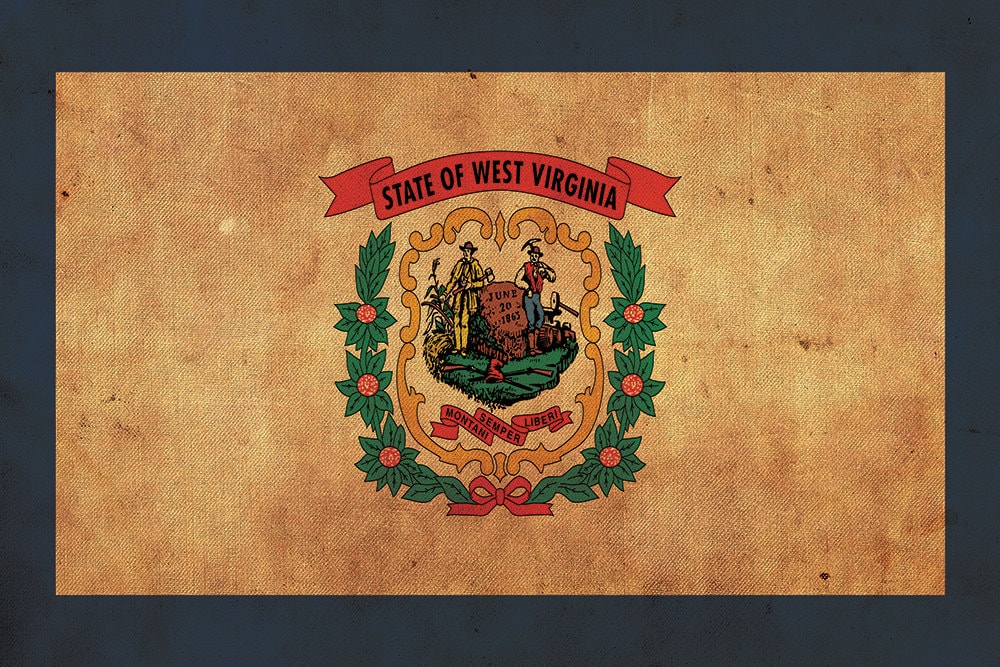 Vintage West Virginia Flag on Canvas,West Virginia, Wall Art,West Virginia Phot - Picture 5 of 6