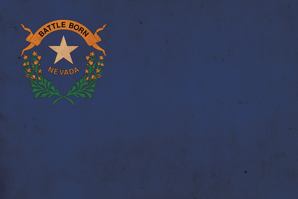 Vintage Nevada Flagge auf Leinwand, Nevada, Flagge, Wandkunst, Nevada Foto, Nevada Fla - Bild 5 von 6