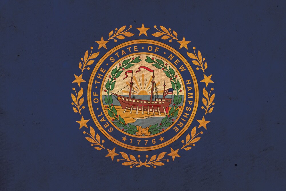 Vintage New Hampshire Flagge auf Leinwand, New Hampshire Flagge, Wandkunst, New Hampshi - Bild 5 von 6