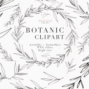 Botanical Clipart Illustration, Greenery Leaves Foliage, Dainty Fine Art Eucalyptus Olive Branch Line Art, Digital Wreath PNG Floral Clipart
