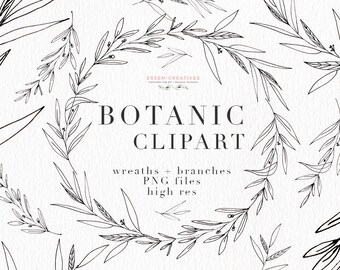 Ilustración de imágenes prediseñadas botánicas, follaje de hojas verdes, arte de línea de rama de olivo de eucalipto de bellas artes delicadas, imágenes prediseñadas florales PNG de corona digital