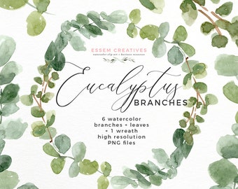 Watercolor Eucalyptus Clipart PNG, Greenery Wreath, Mother Day Card Tag, Green Leaf Clipart, Woodland Party Invite, Bohemian Gift Favor Sign