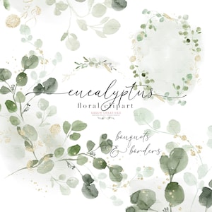 Clipart de aquarela de eucalipto, clipart de grinalda de vegetação, buquê de eucalipto, folhas de folhagem verde, bordas gráficas, detalhes dourados de sublimação