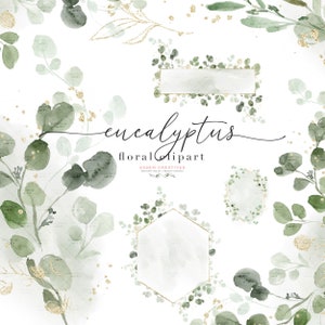 Clipart di eucalipto dell'acquerello, clipart di ghirlande verdi, bouquet di eucalipto, foglie di fogliame verde grafica foglie verdi blu con accenti dorati