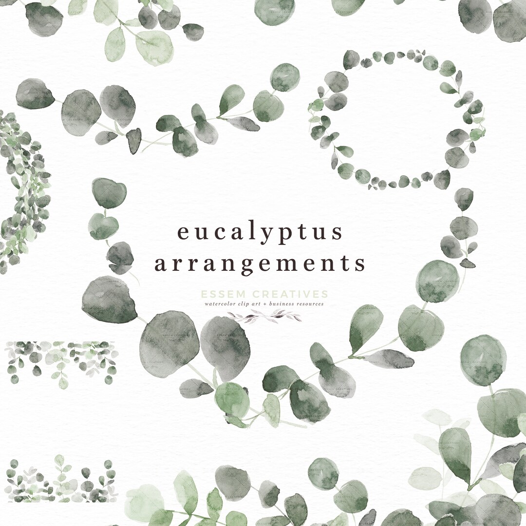 Watercolor Eucalyptus Wreath Clipart, Floral Border Greenery Leaf ...