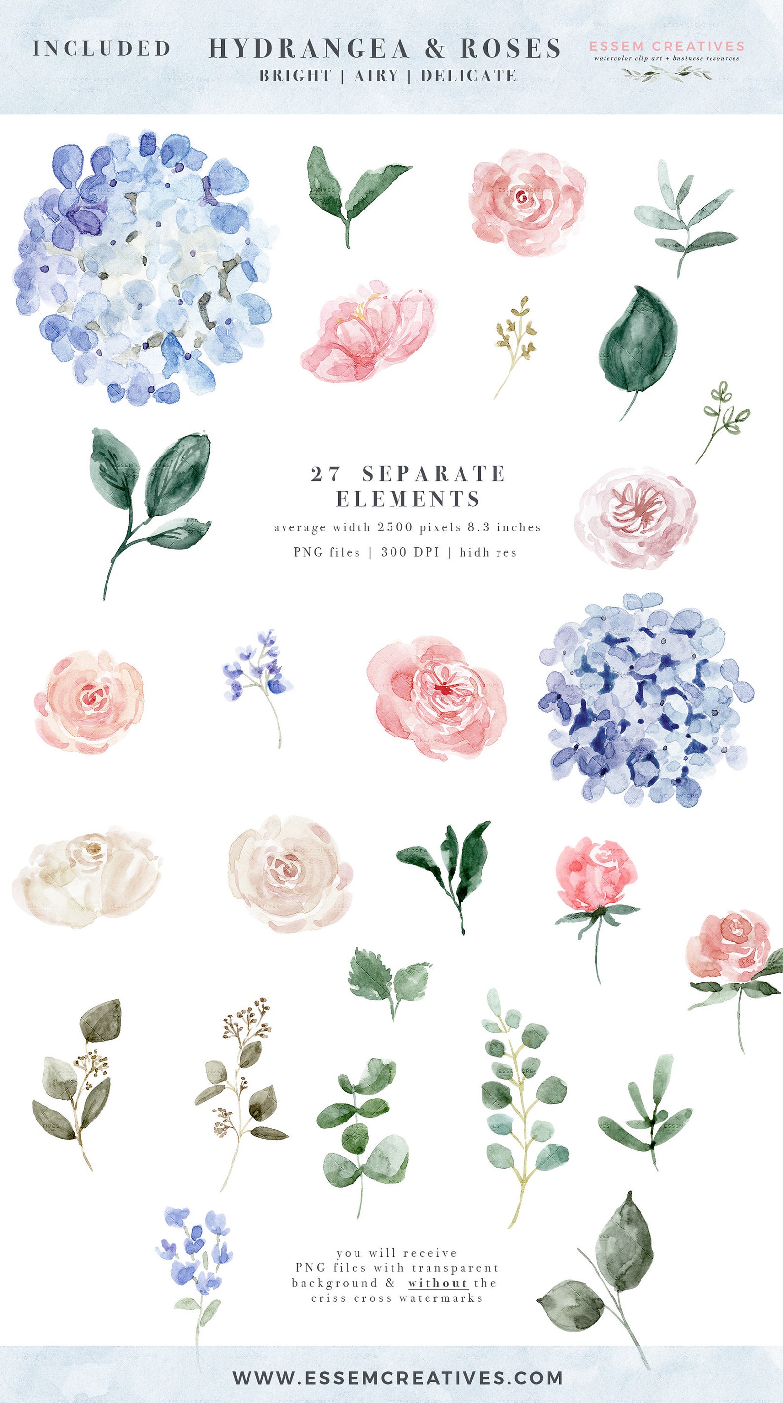 Watercolor Hydrangea Clipart Blue Pink Flower Clip Art - Etsy