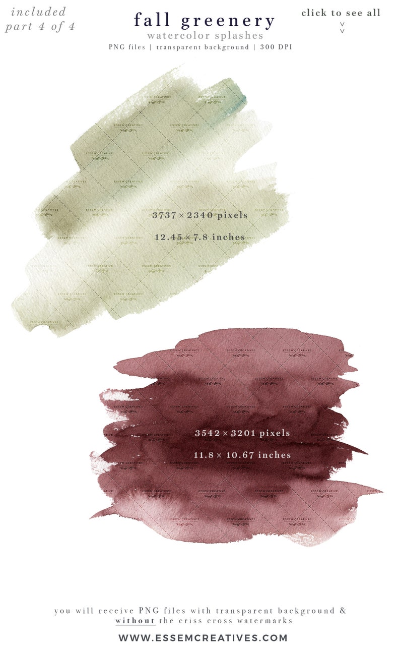 May include: Two watercolor splashes, one in a muted green and one in a deep burgundy red. The green splash is 12.45 inches by 7.8 inches and the burgundy splash is 11.8 inches by 10.67 inches. Both are PNG files with transparent backgrounds.