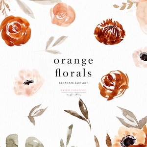 Orange Floral Clipart Boho Watercolor Flowers Clip art Orange Rose Peach Blush Anemone Green Leaf Eucalyptus PNG with Transparent Background