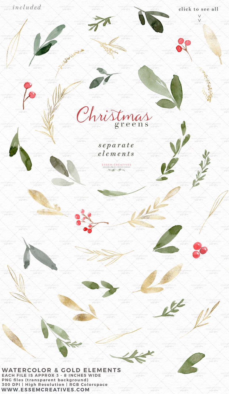 May include: Watercolor and gold Christmas greens clipart set.  The set includes separate elements of green and gold leaves, sprigs, and berries. Each element is approximately 3 to 8 inches wide.