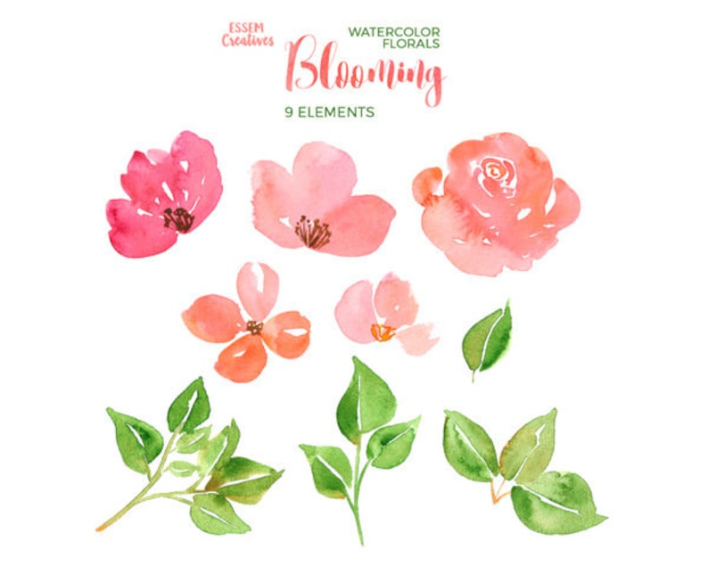 Feminine Floral Frames Clipart Logo Elements Watercolour Pink Flowers Clipart Peony Clipart Spring Clipart Spring Wedding Invitation