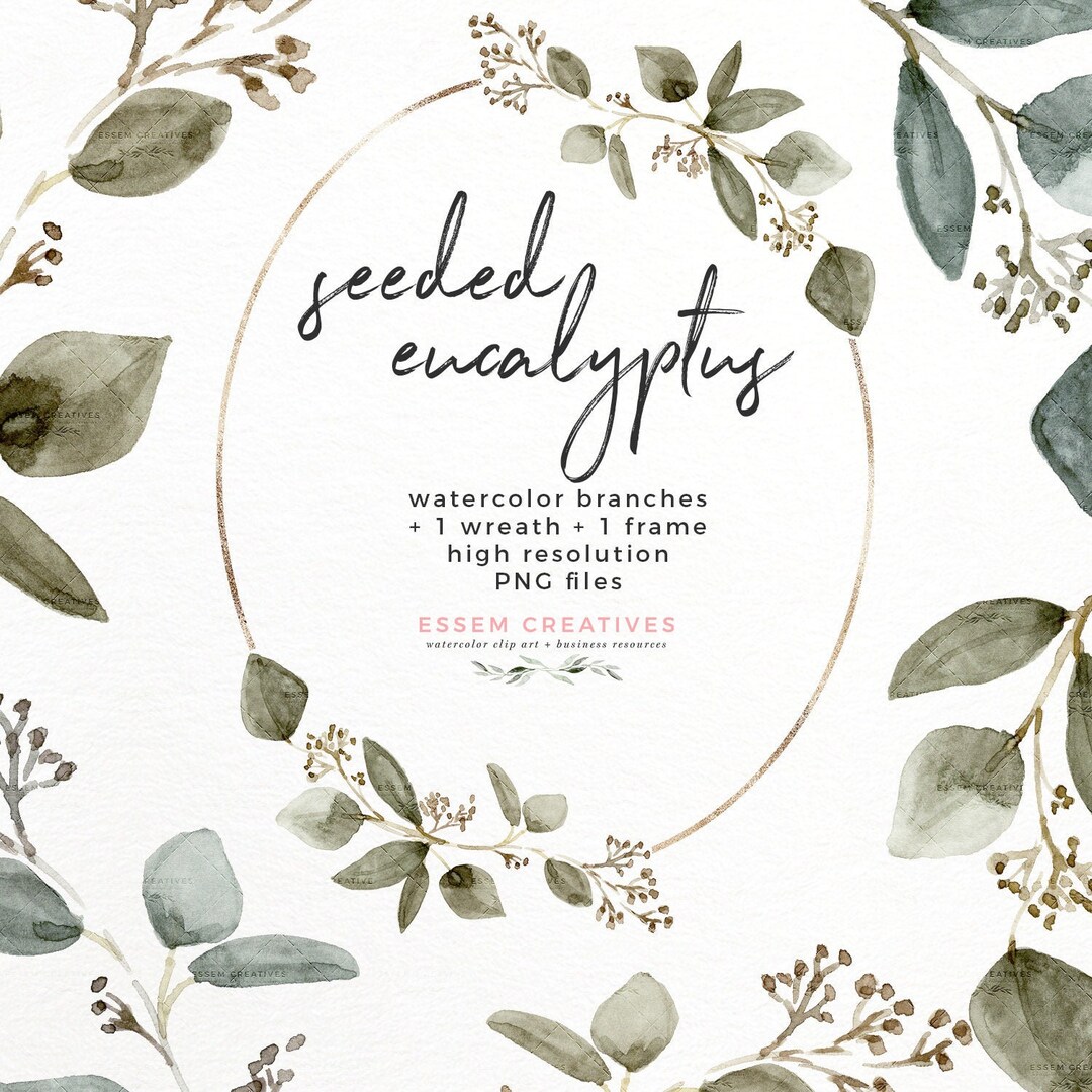 Watercolor Eucalyptus Clipart PNG, Greenery Wreath Frame Graphic ...