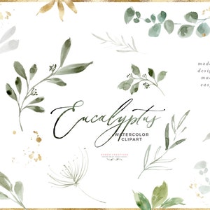 Aquarel Eucalyptus Clipart, Eucalyptus Branch Leaf Clip Art, Bladgroene Lichte Bladeren Goud voor Bruiloft Clipart, Digitale Grafische PNG