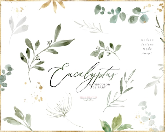 Aquarell Eukalyptus Clipart, Eukalyptus Zweig Blatt Clip Art, Blätter Grün  Hell Gold für Hochzeit Clipart, Digitale Grafik PNG - .de