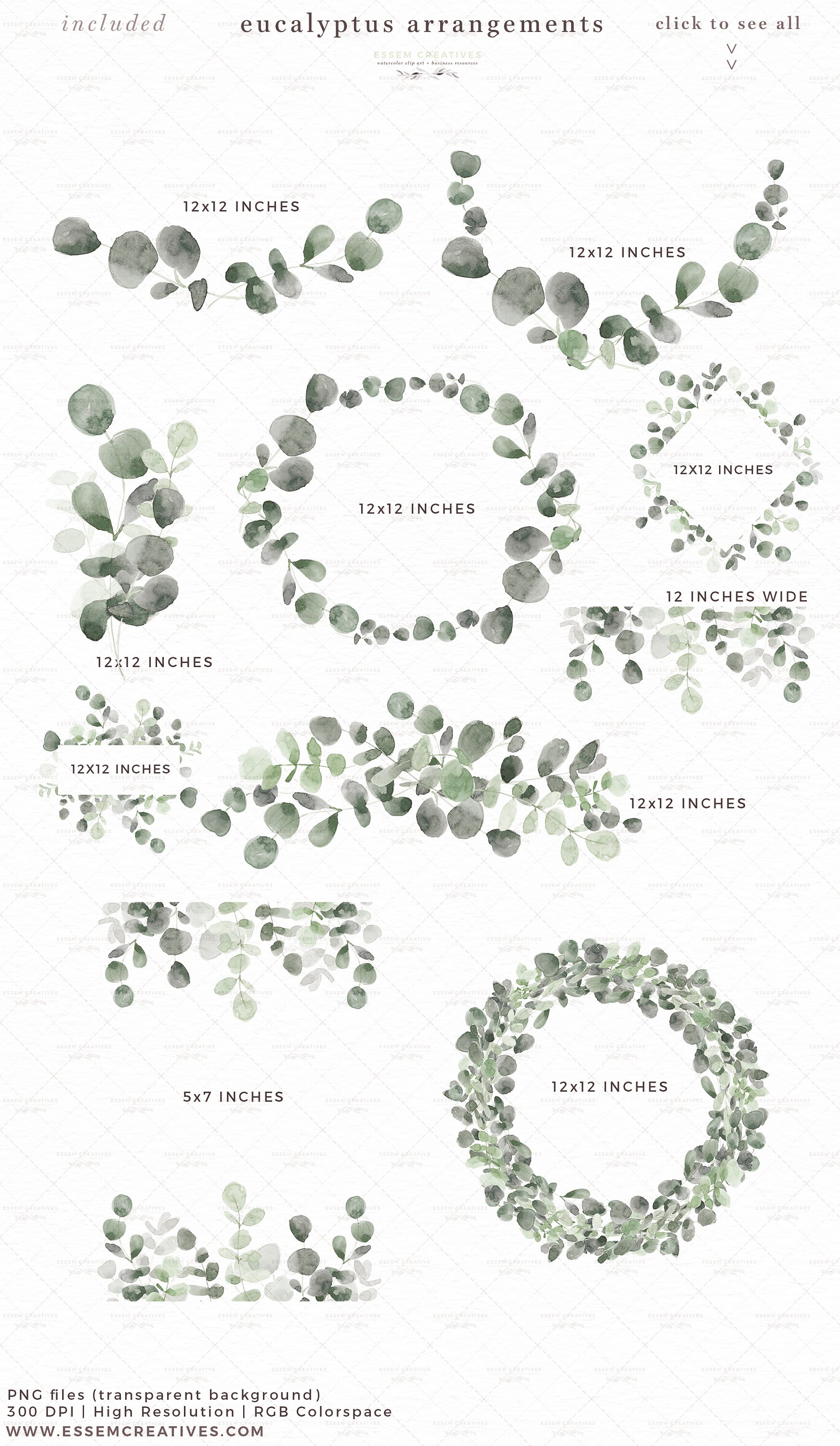 Watercolor Eucalyptus Wreath Clipart, Floral Border Greenery Leaf ...